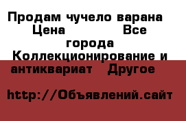 Продам чучело варана › Цена ­ 15 000 - Все города Коллекционирование и антиквариат » Другое   
